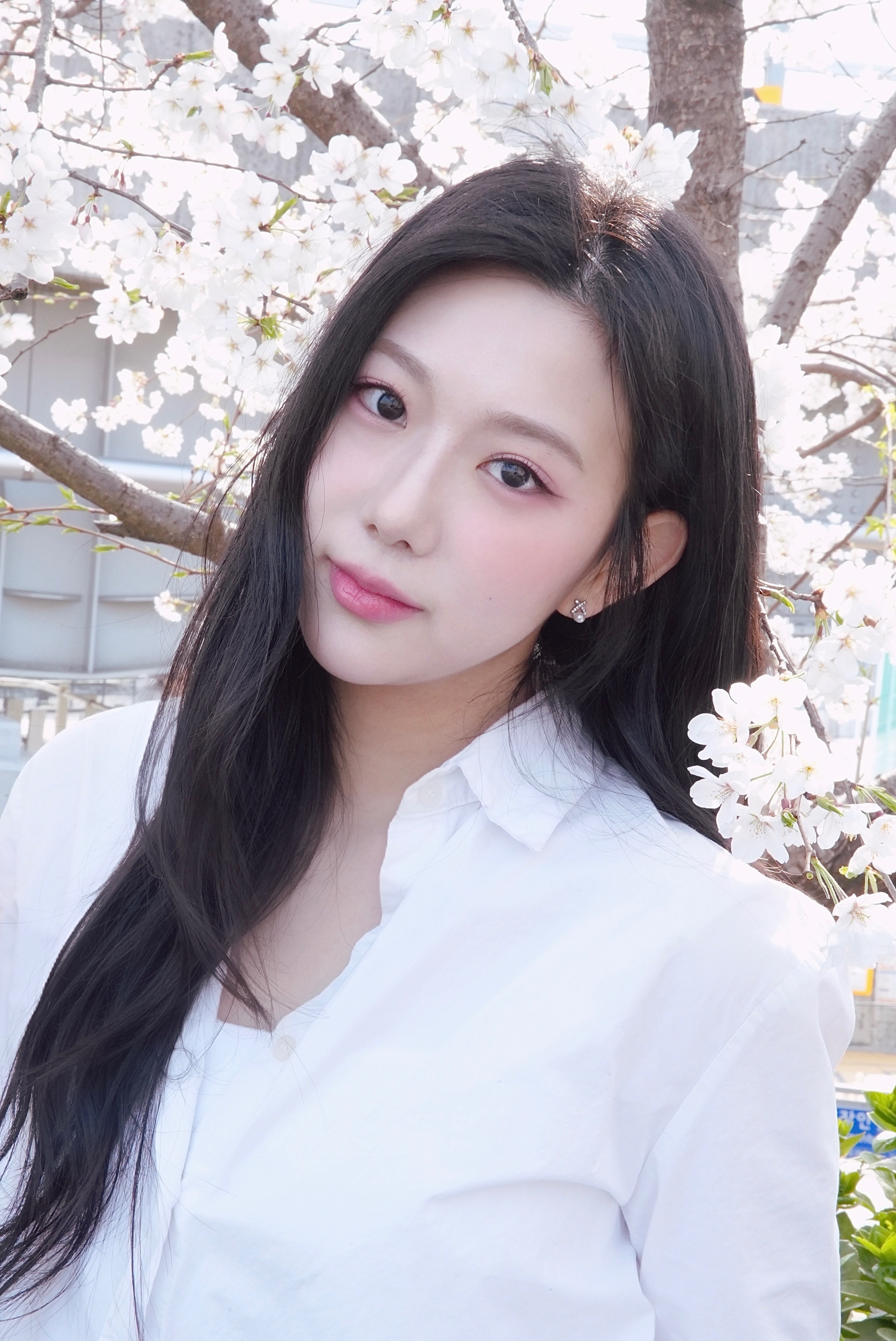 이효정