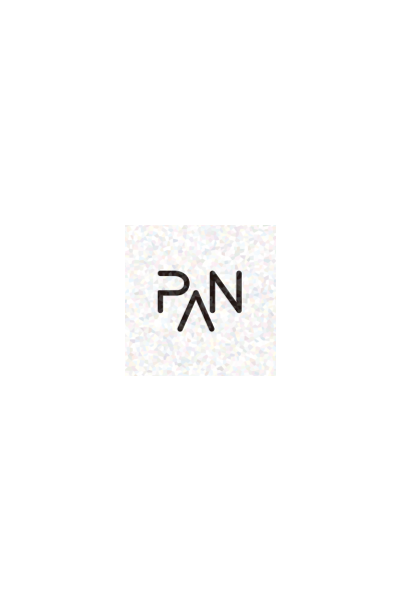 프로젝트 PAN